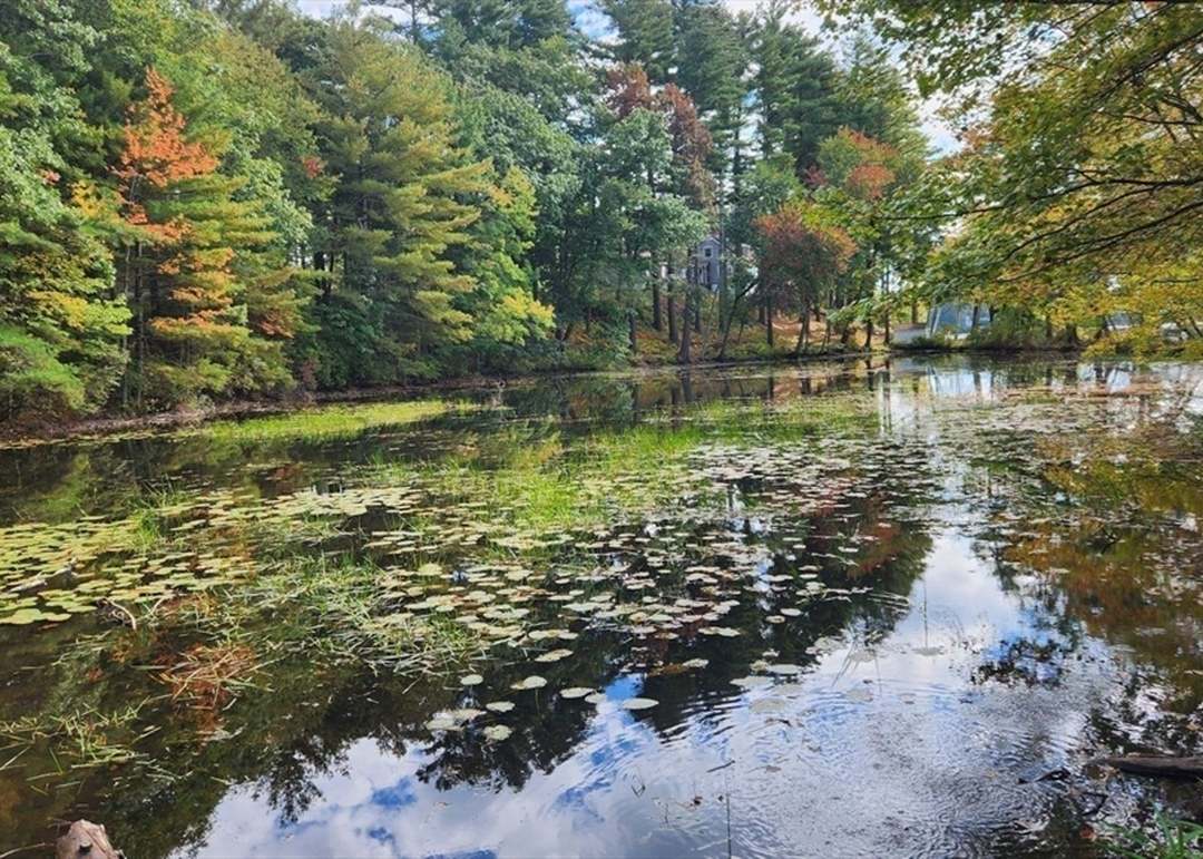 North Brookfield