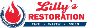Lilly's Restoration