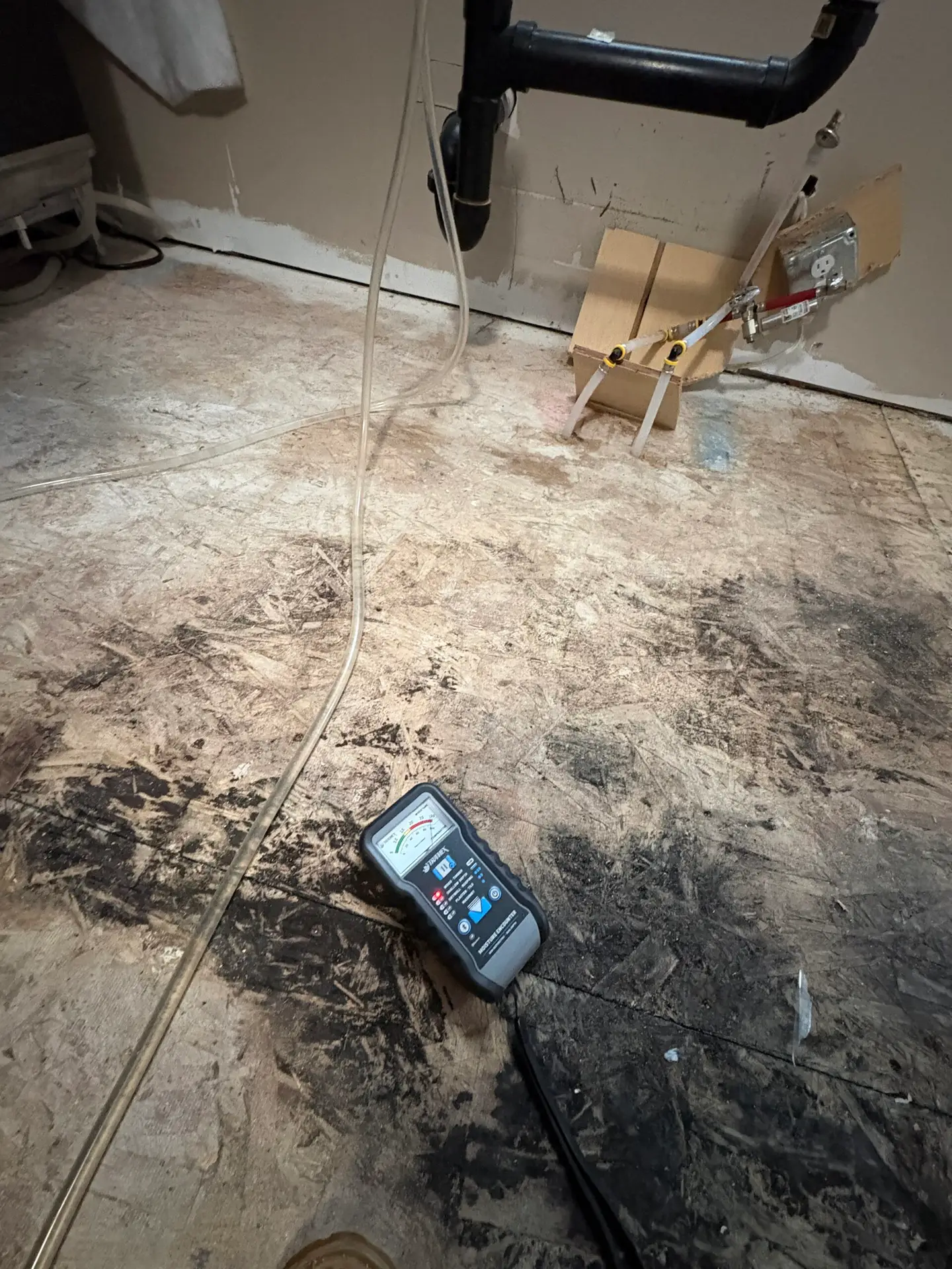 Mold Damage Restoration